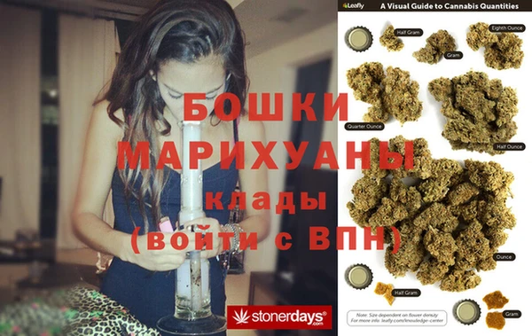 дживик Горняк