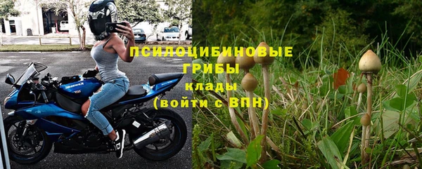 крисы Горнозаводск
