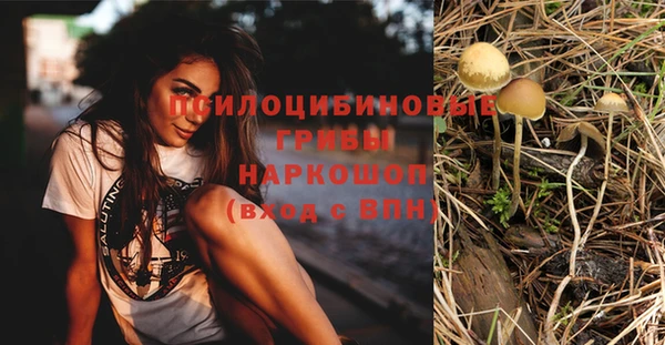 первитин Гусиноозёрск