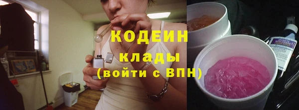 гашик Гусь-Хрустальный