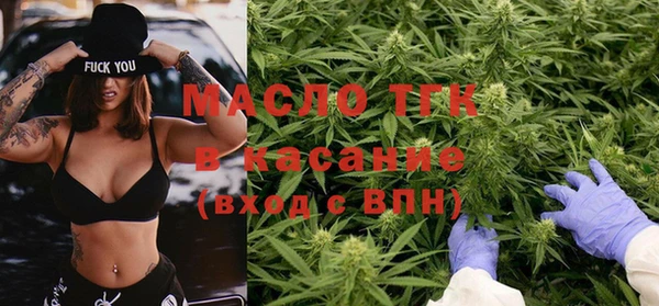дживик Горняк