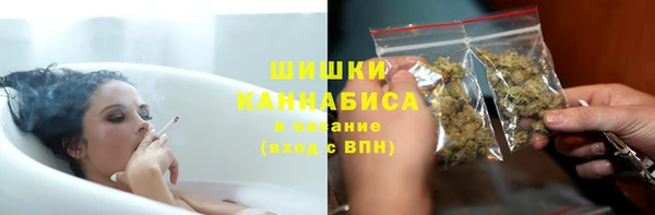 дживик Горняк