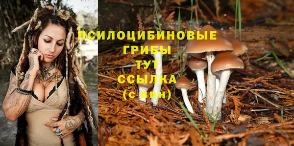 крисы Горнозаводск