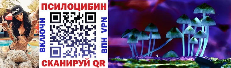 Галлюциногенные грибы Psilocybine cubensis Ачинск