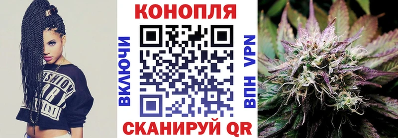где купить наркотик  Ачинск  Марихуана сатива 